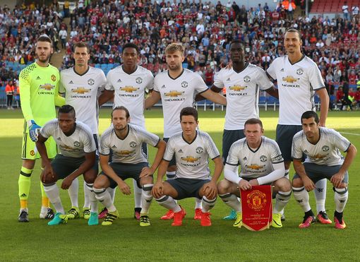 沉着冷静的 沉着冷静的